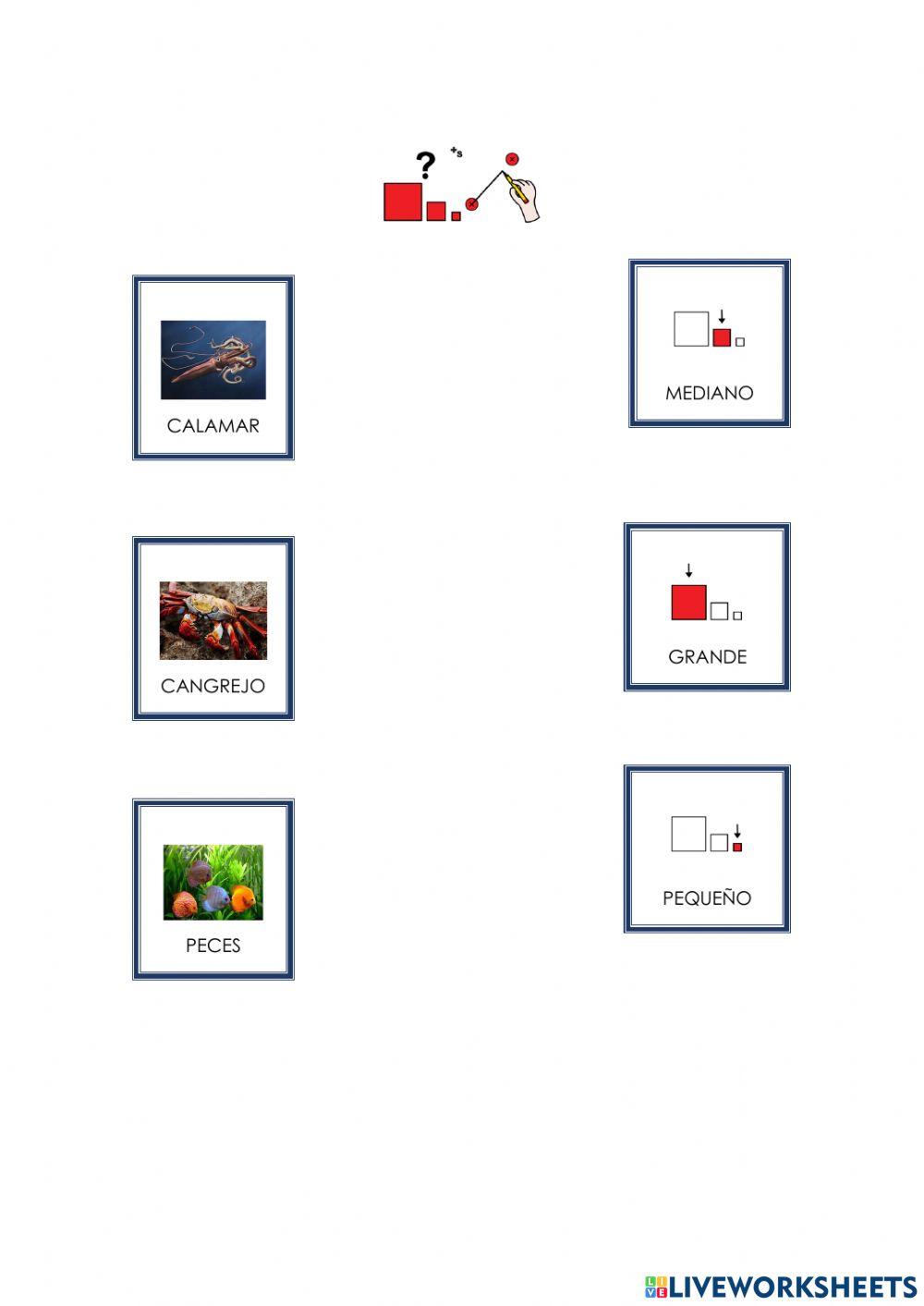 Comprensión cangrejo va al colegio