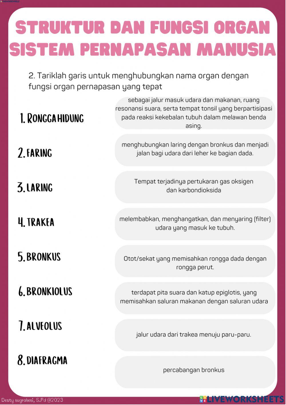 LKPD SISTEM PERNAPASAN