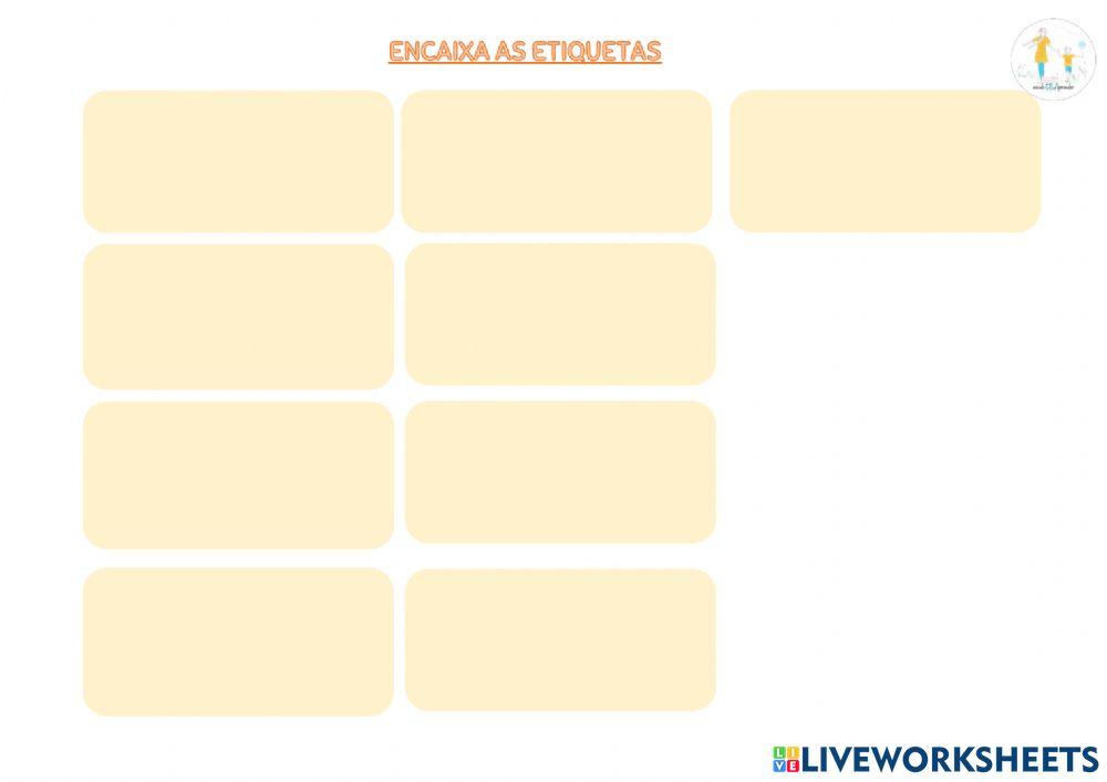 Funcions vitais seres vivos