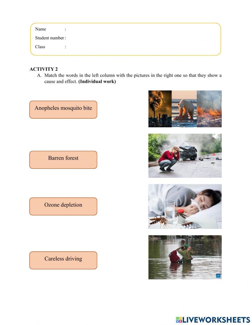 Meeting 1 Activity 2 Worksheet Live Worksheets Meeting 1 Activity 2 Worksheet Live Worksheets