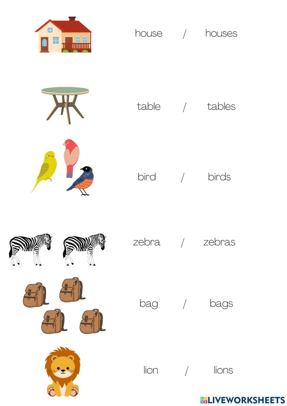 Singular and Plural Nouns