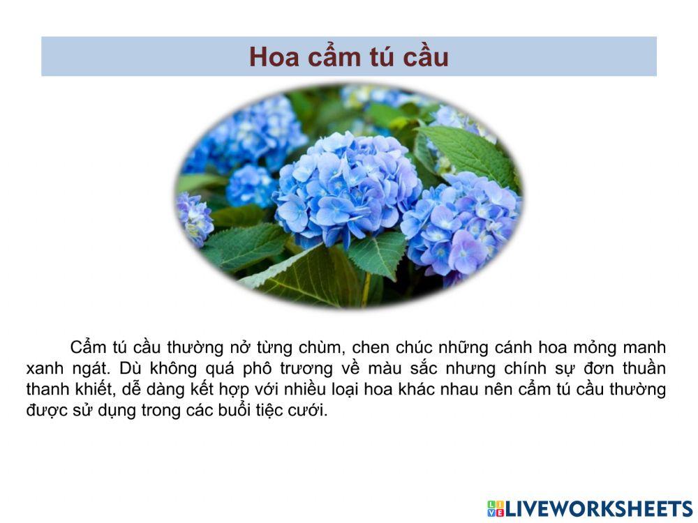 Tiếng Việt
