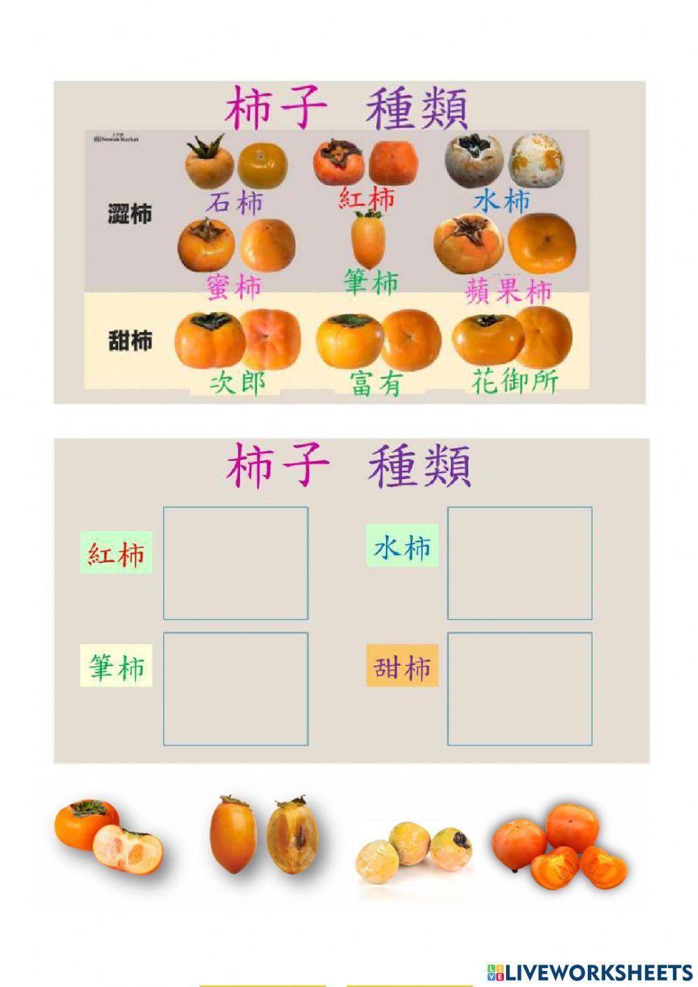 中秋節-柿的造詞