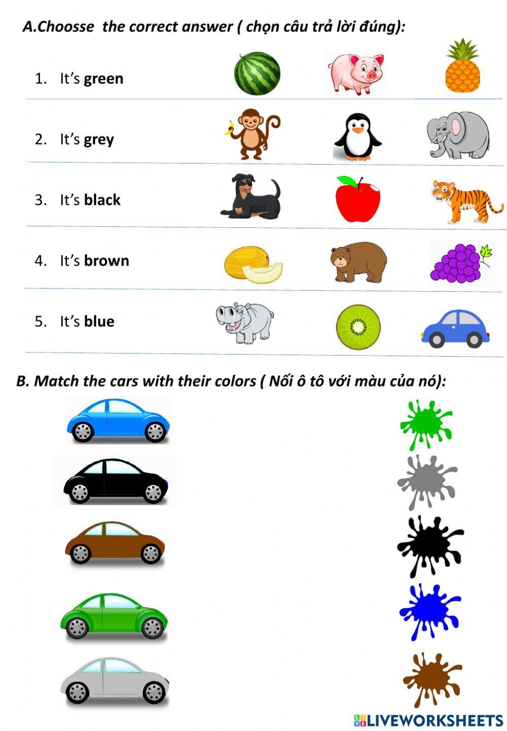 AS.11 Color( green, brown, grey, black, blue)