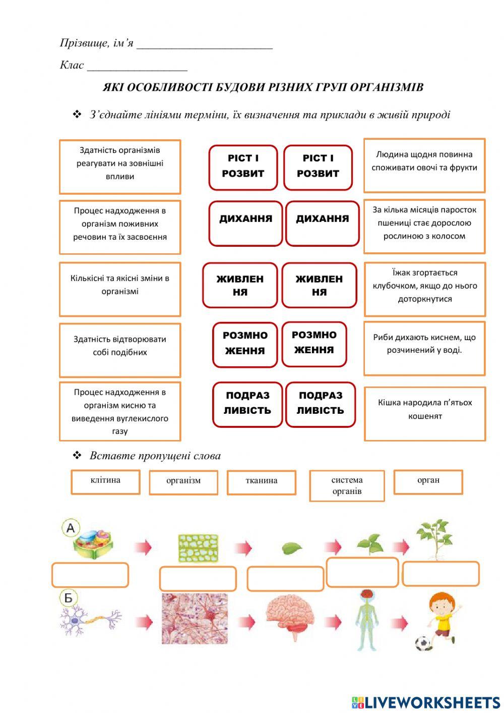 Інтерактивний аркуш -Які особливості будови різних груп організмів-