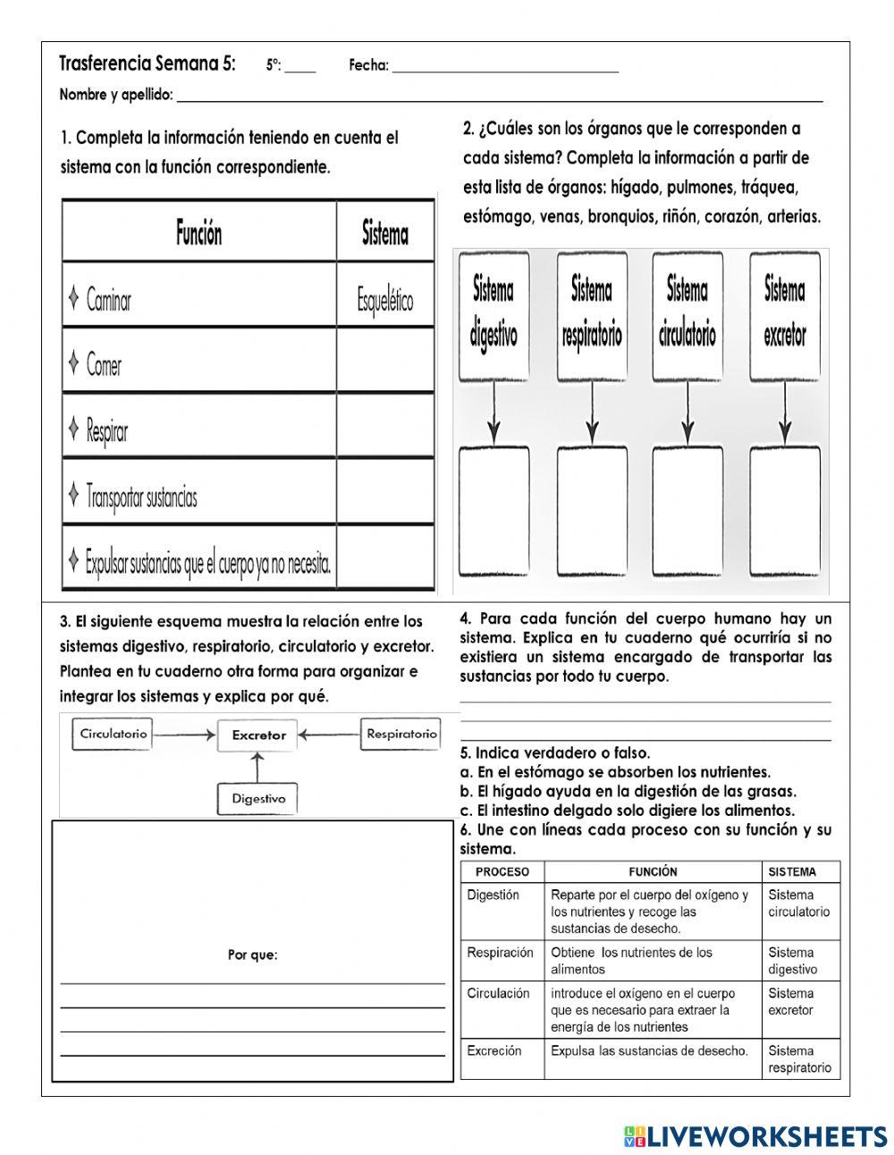C.N Trasferencia Semana 5