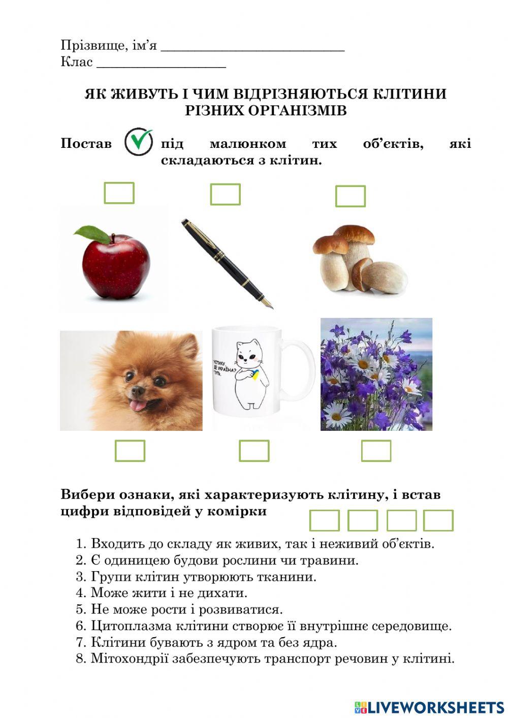 2293630 | Як живуть і чим відрізняються клітини різних
