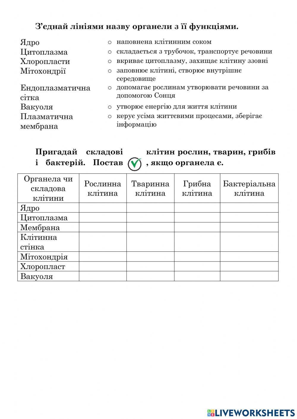 Як живуть і чим відрізняються клітини різних організмів