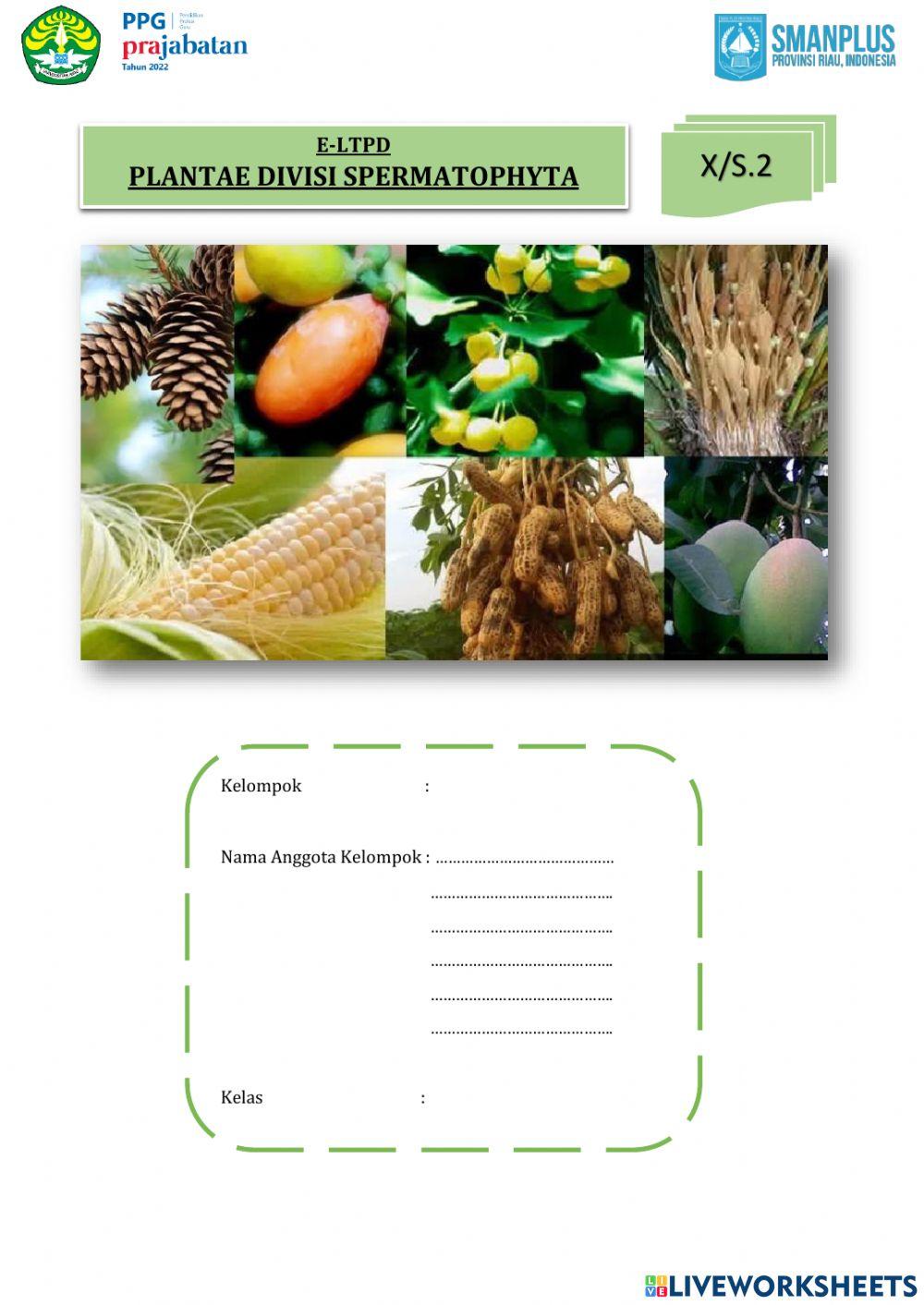 E-LTPD Spermatophyta X MS 2