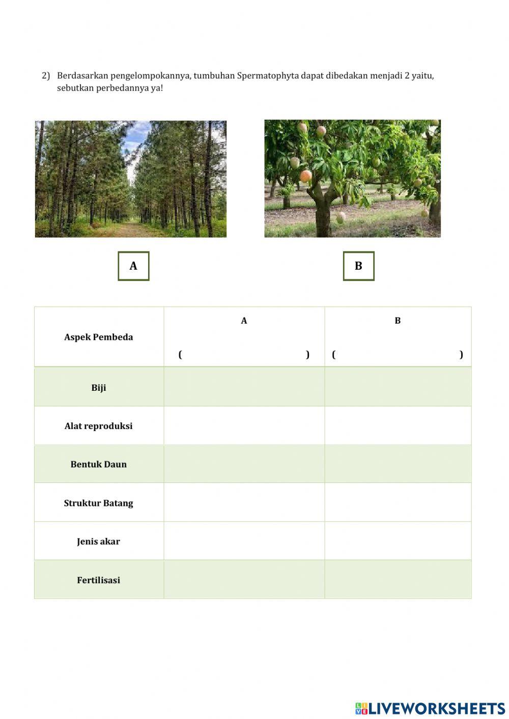 E-LTPD Spermatophyta X MS 2