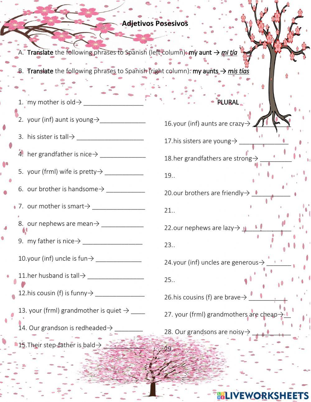 Possessive Adjectives