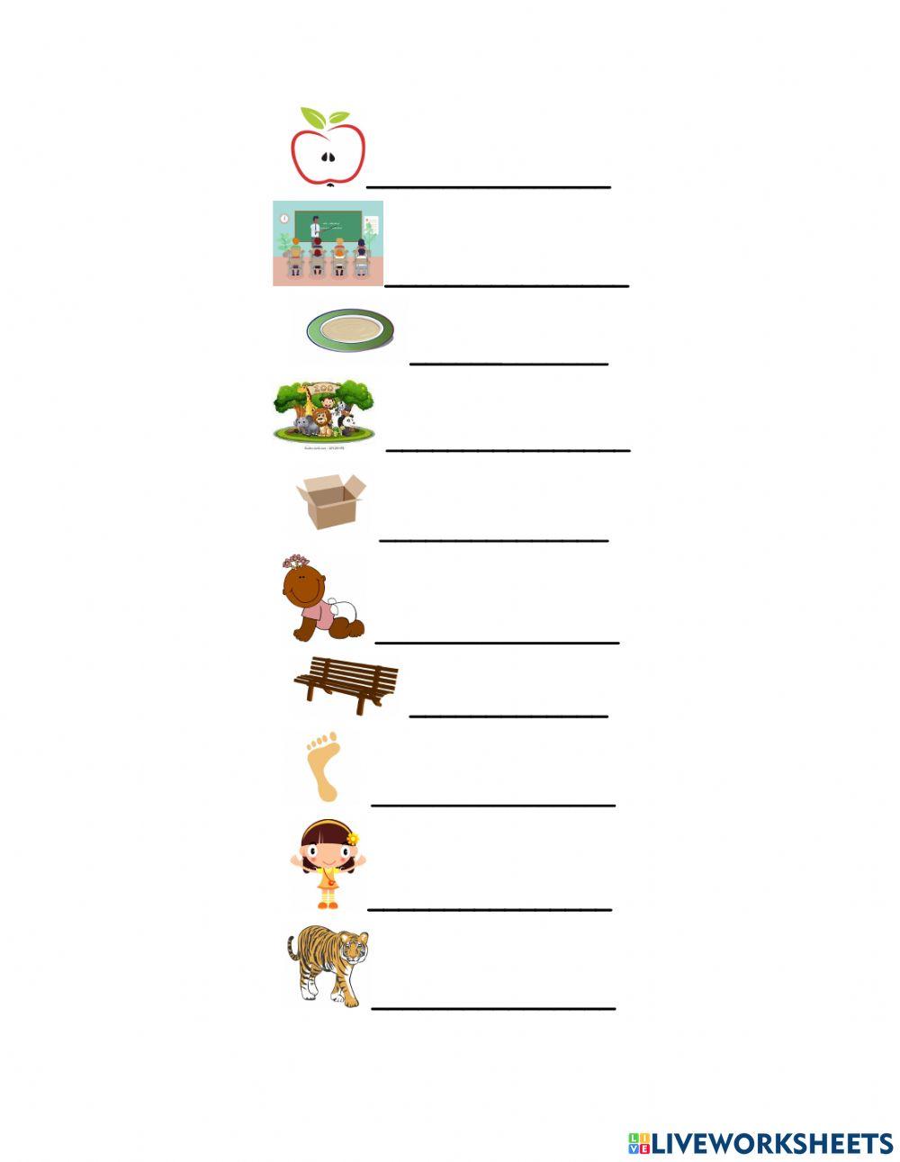 Singular and plural nouns