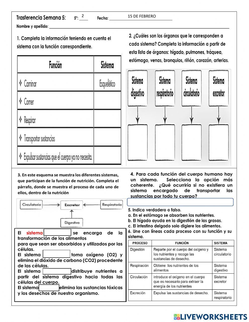 Funcion de nutricion