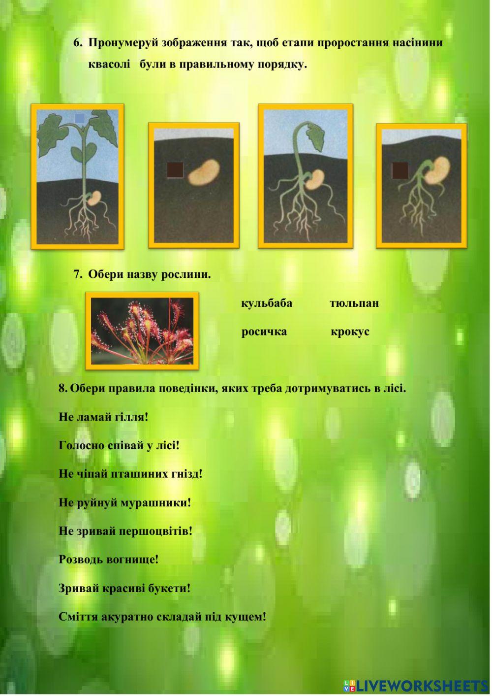 Діагностична робота №7 -Приховані можливості речей-