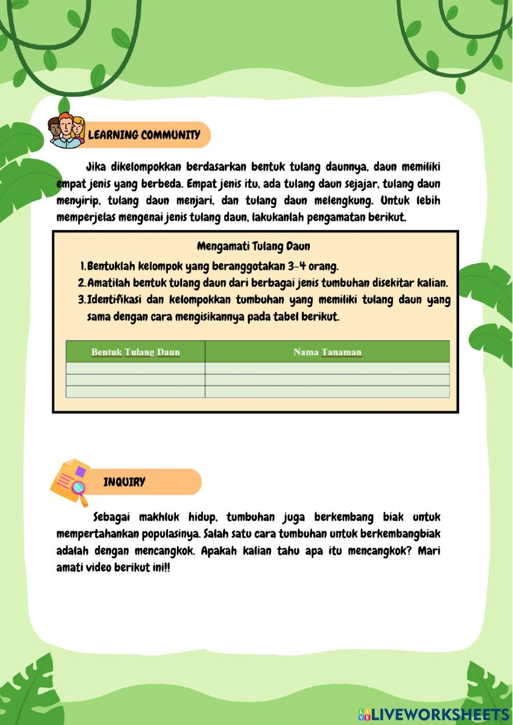 Tumbuhan, Sumber Kehidupan di Bumi