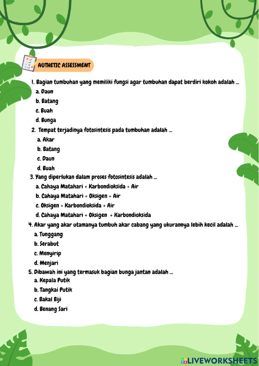 Tumbuhan, Sumber Kehidupan di Bumi