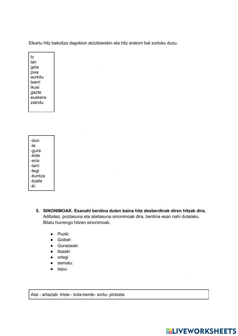 Euskera hiztegia eta gramatika