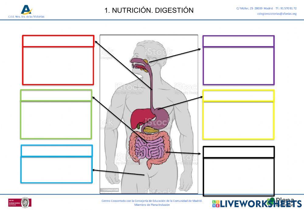 Nutricion
