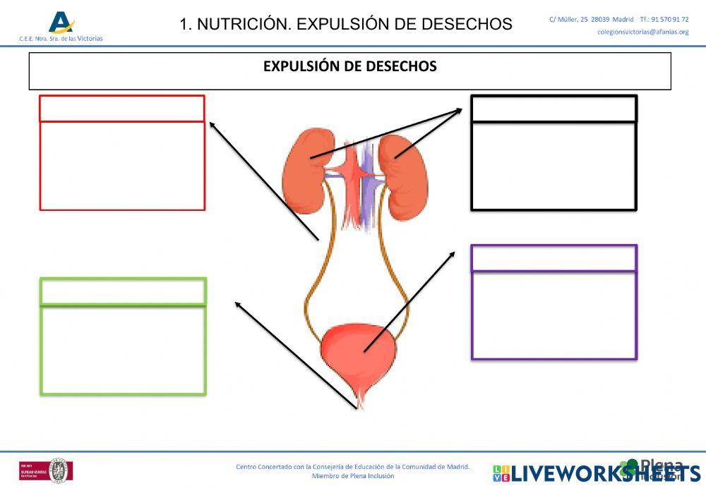 Nutricion