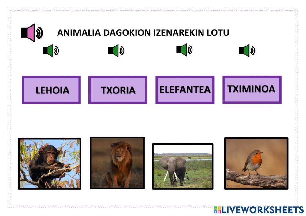 Lotu animalia dagokion izenarekin