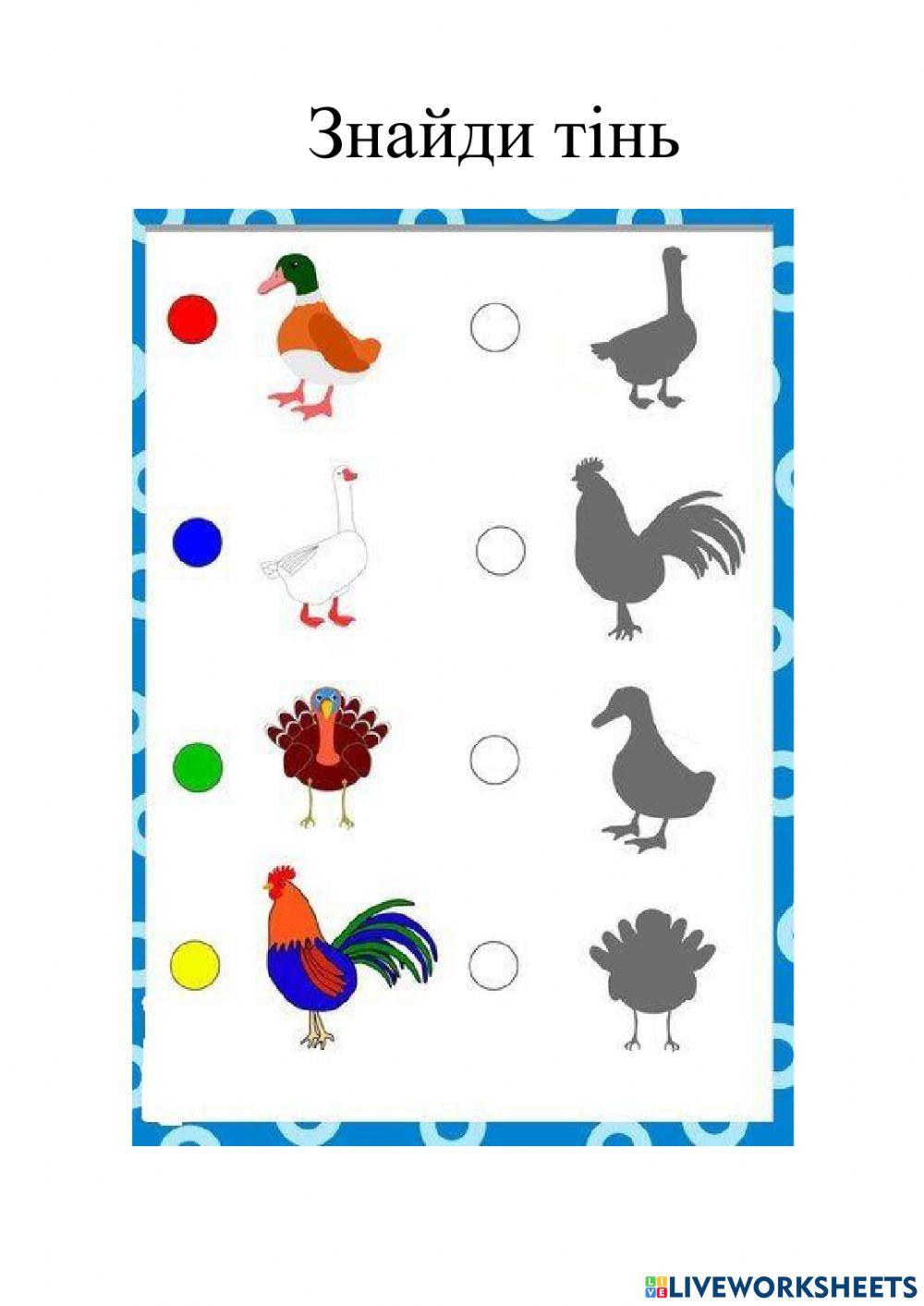 Зєднай тінь