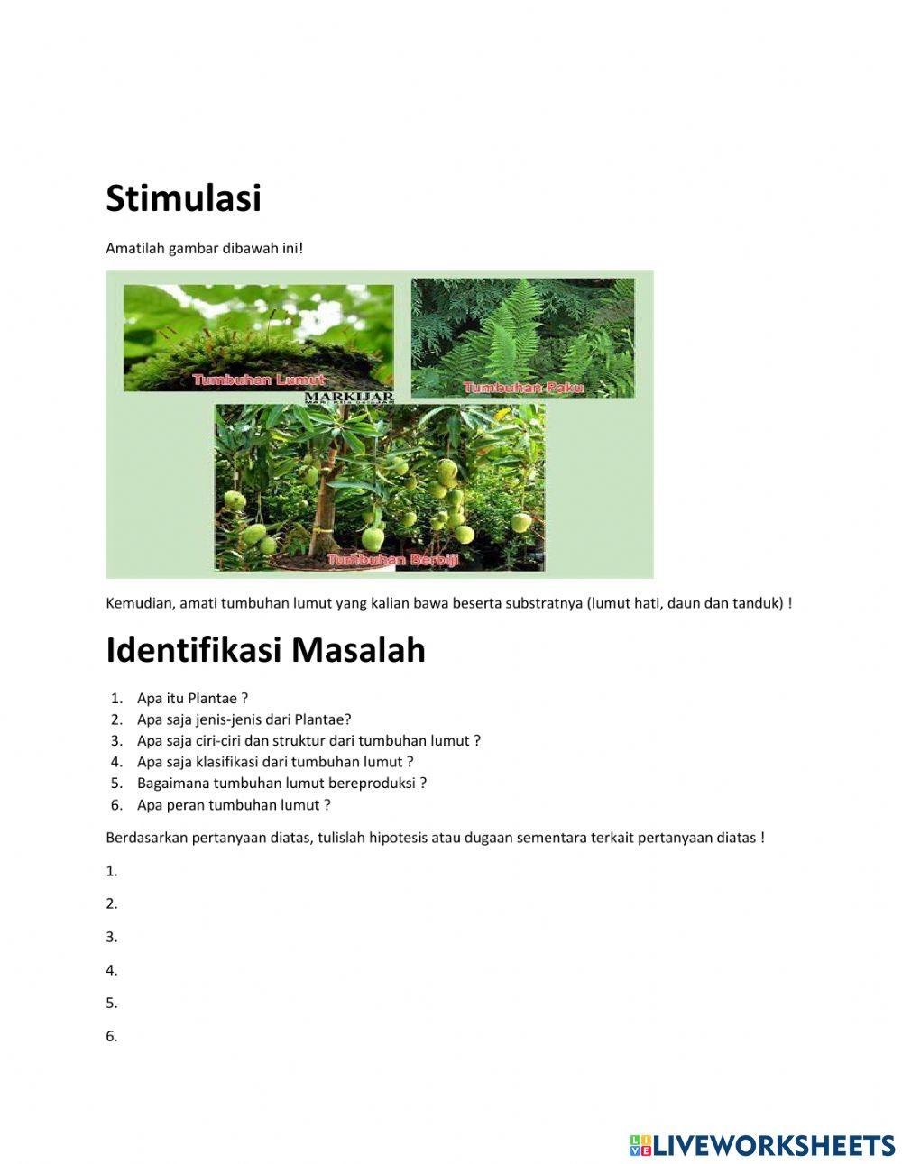 Lkpd plantae ( tumbuhan lumut)