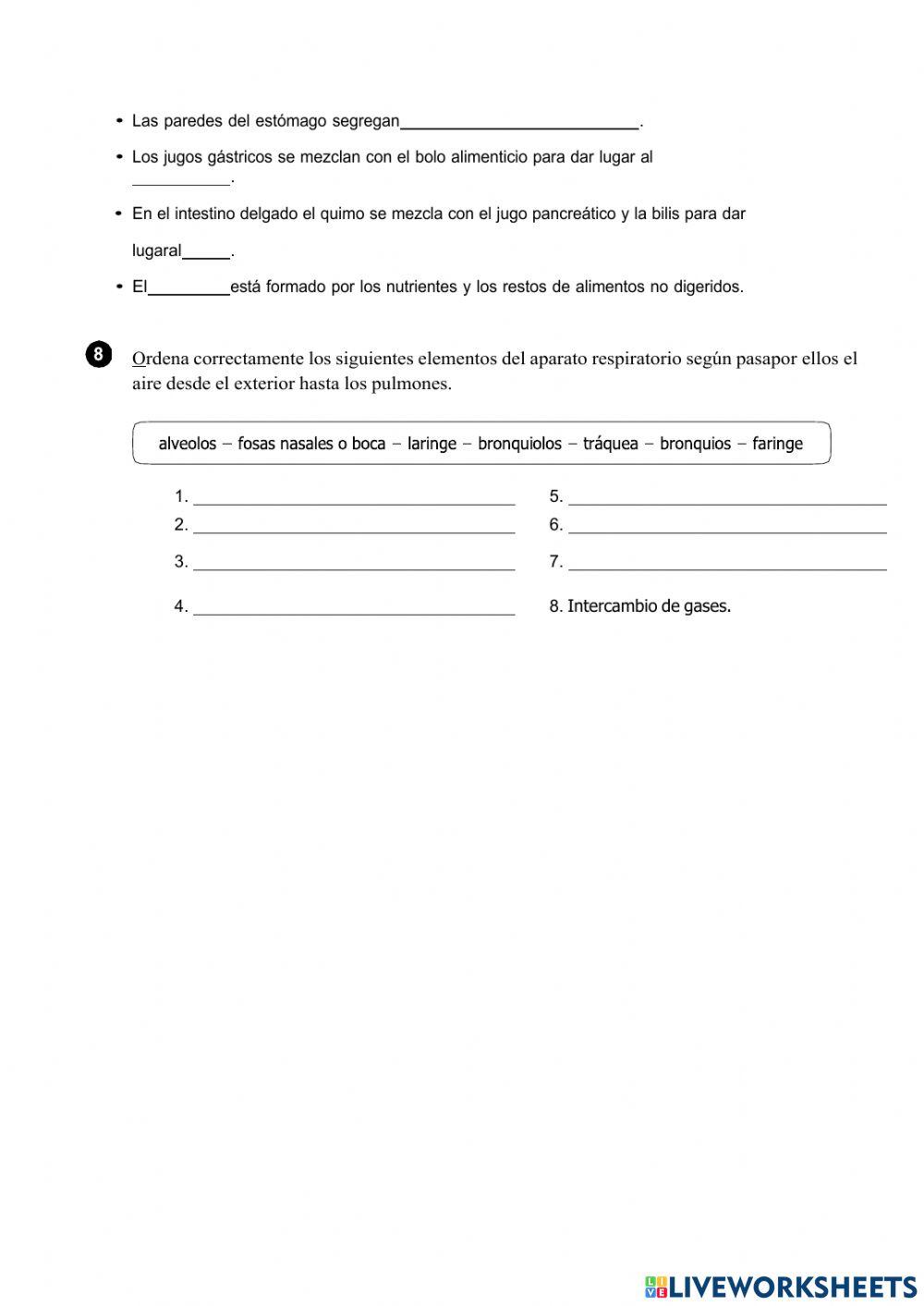 La nutrición. la digestión y la respiración