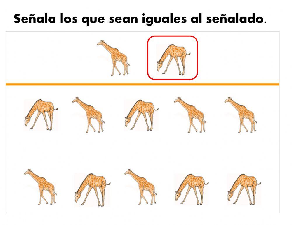 Método Troncoso - perceptivo-discriminativo. 