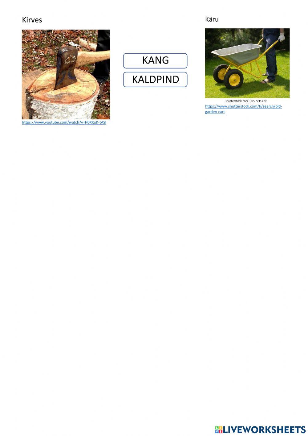 Maa. Päike. Valgus. Jõud. Liikumine