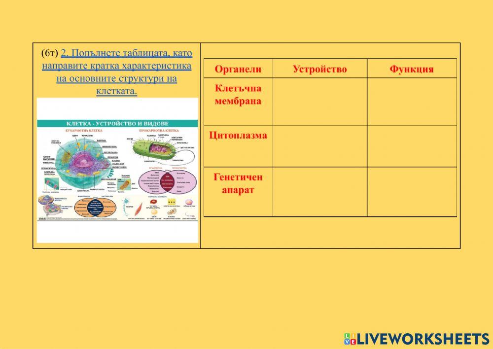 Структура на клетката