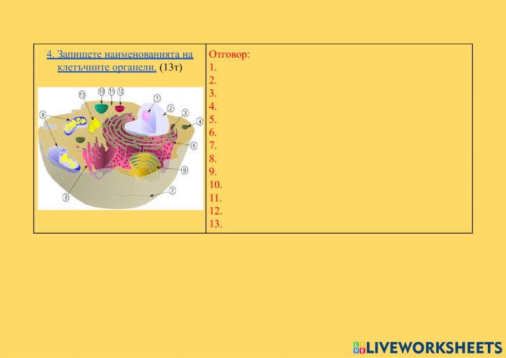 Структура на клетката