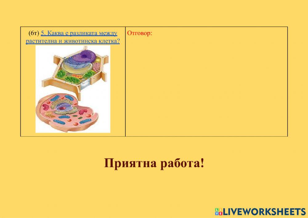 Структура на клетката