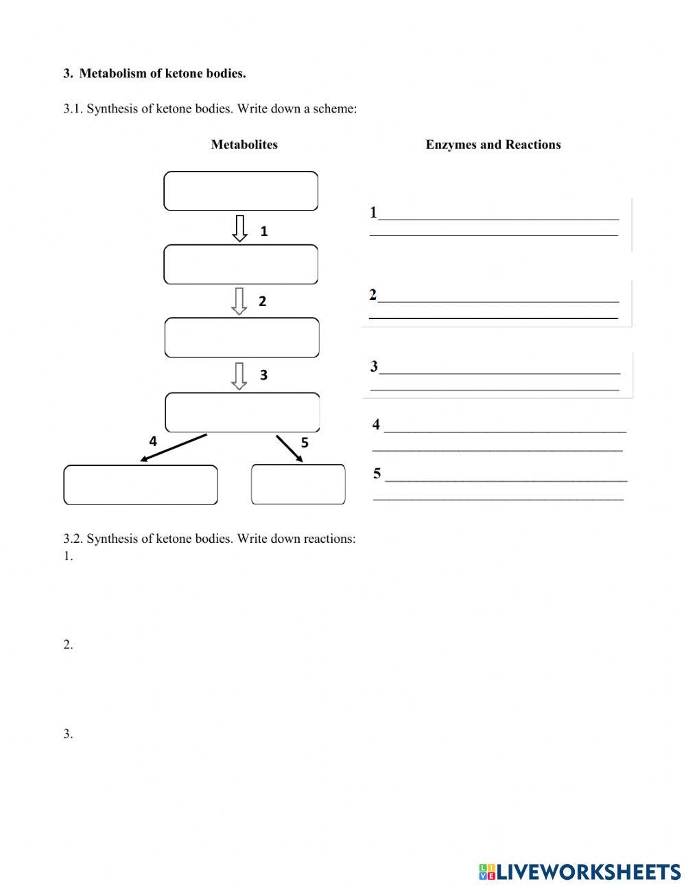 Metabolism of Cholesterol, Ketone Bodies and Phospholipids