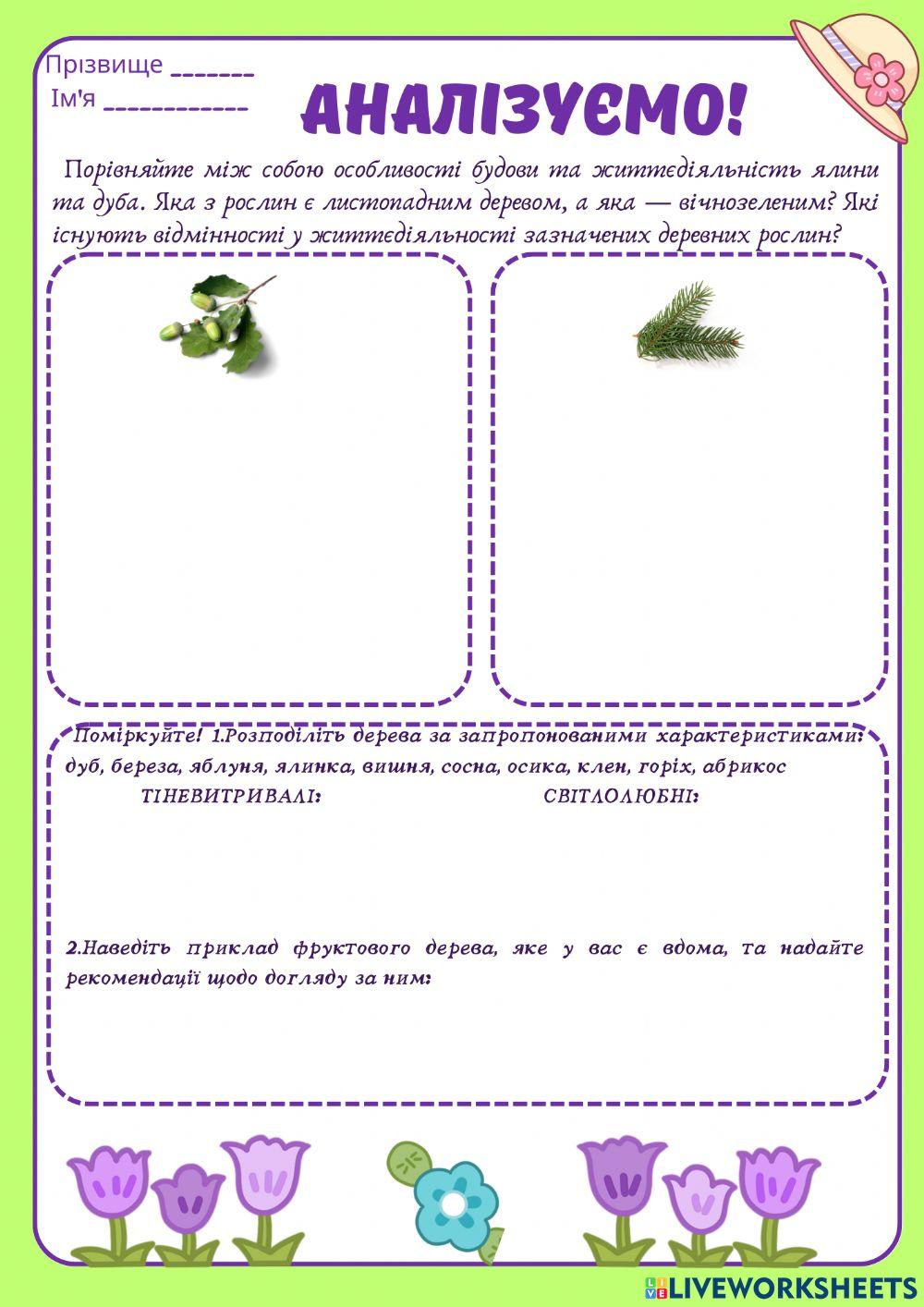 Спостереження рослин парку лісу