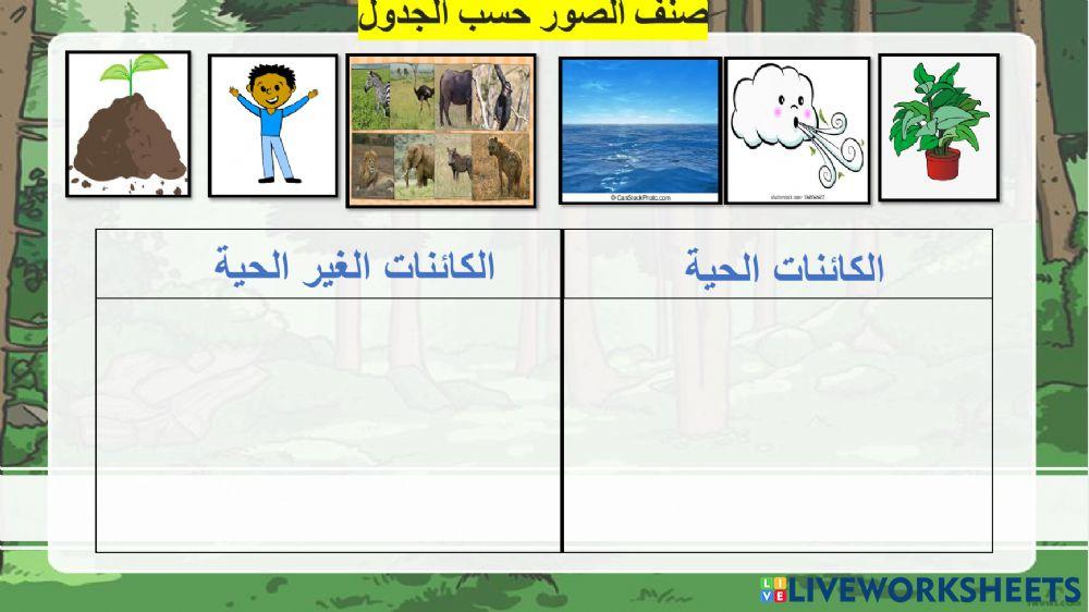 ورقة عمل  تصنيف