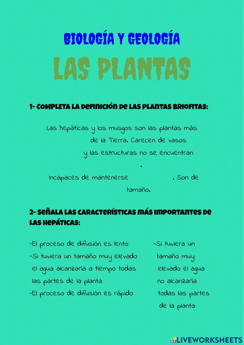 Plantas II