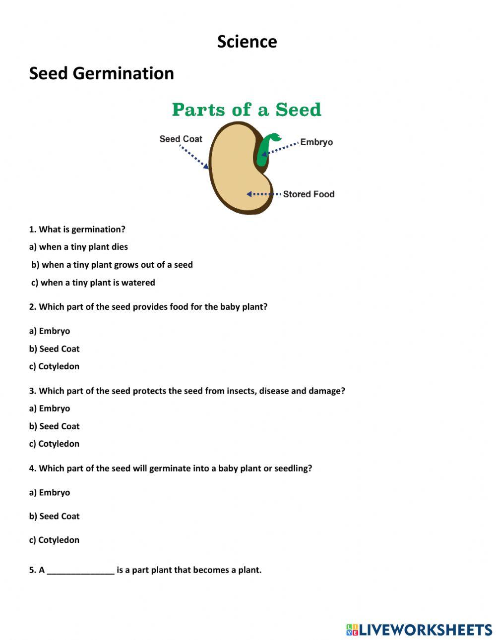 2295989 Seed Germination classroom242
