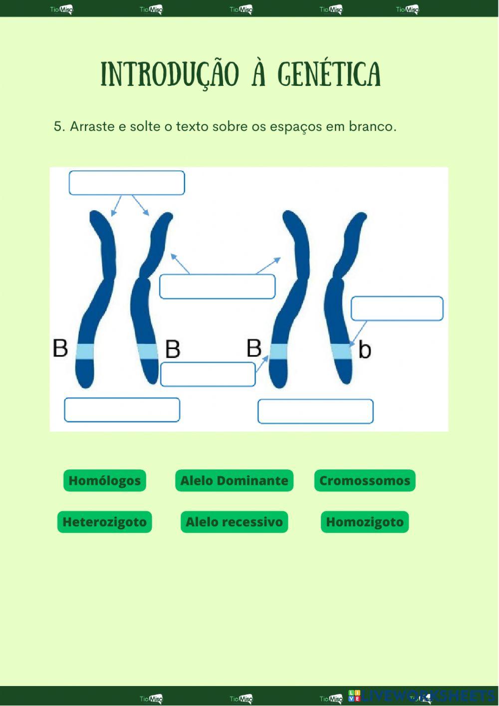 Introdução á Ge… | Free Interactive Worksheets | 2296009, image size:1000x1414
