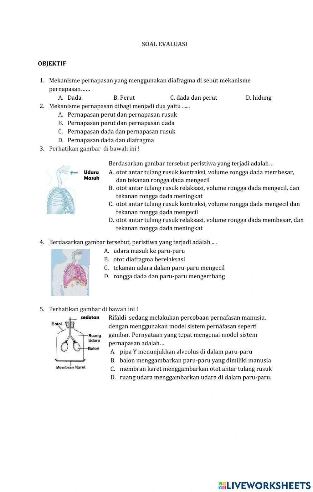 Mekanisme Pernapasan