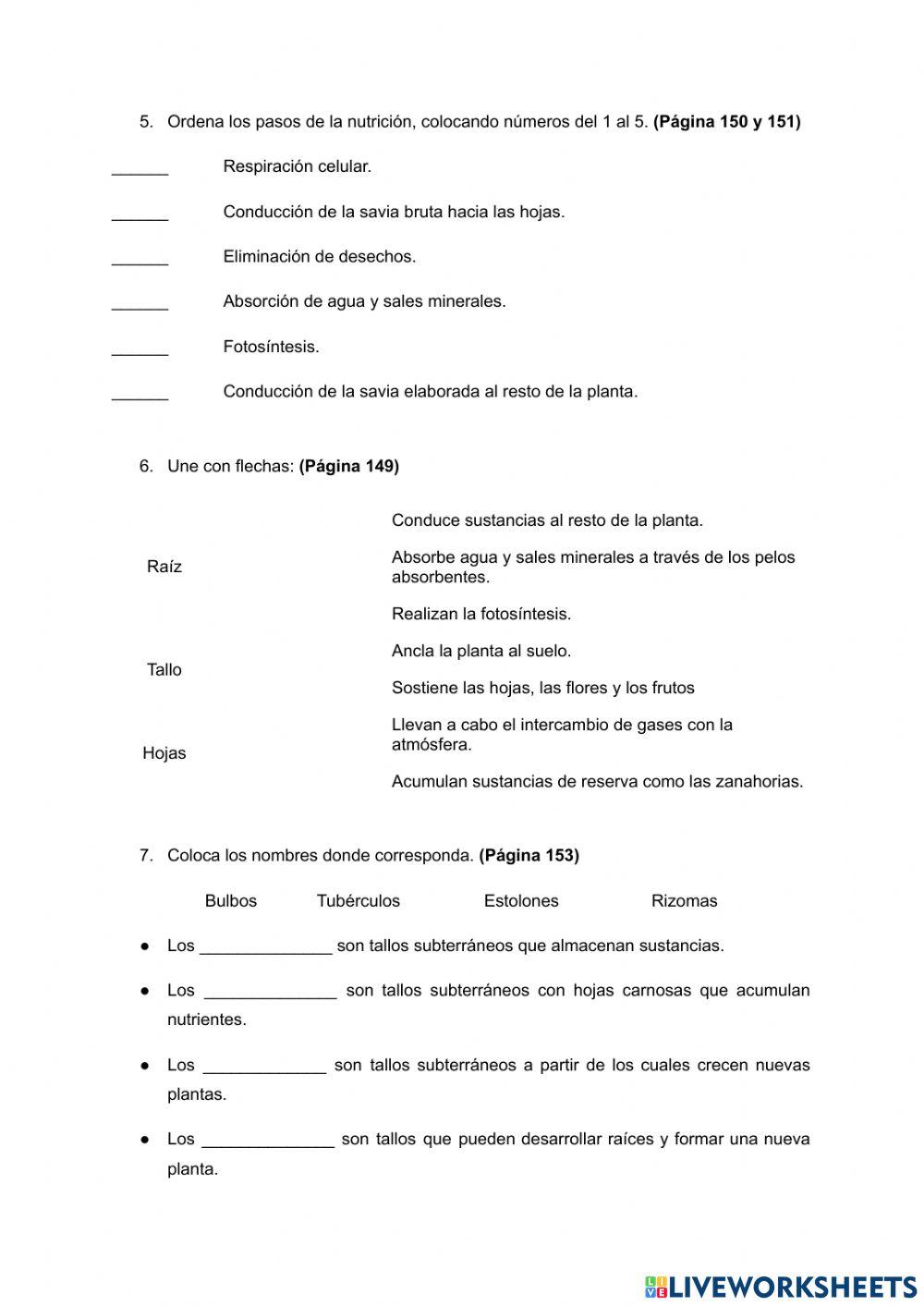 Ficha 1:  El reino de las plantas
