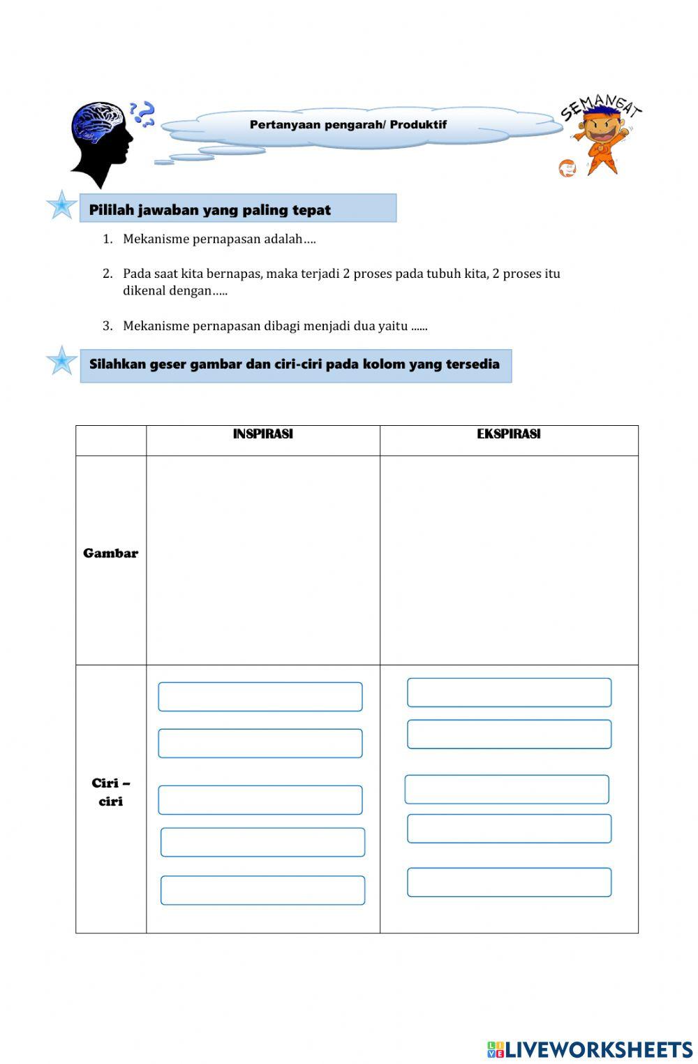 Mekanisme Pernapasan