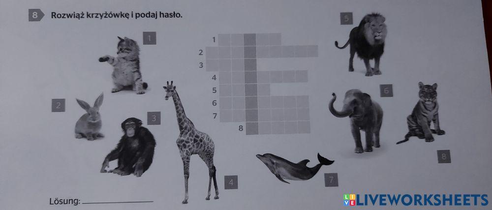 Meine Deutschtour Sprawdzian J Niemiecki Kl 7 Deutschtour, Klasse 7, Tiere worksheet | Live Worksheets
