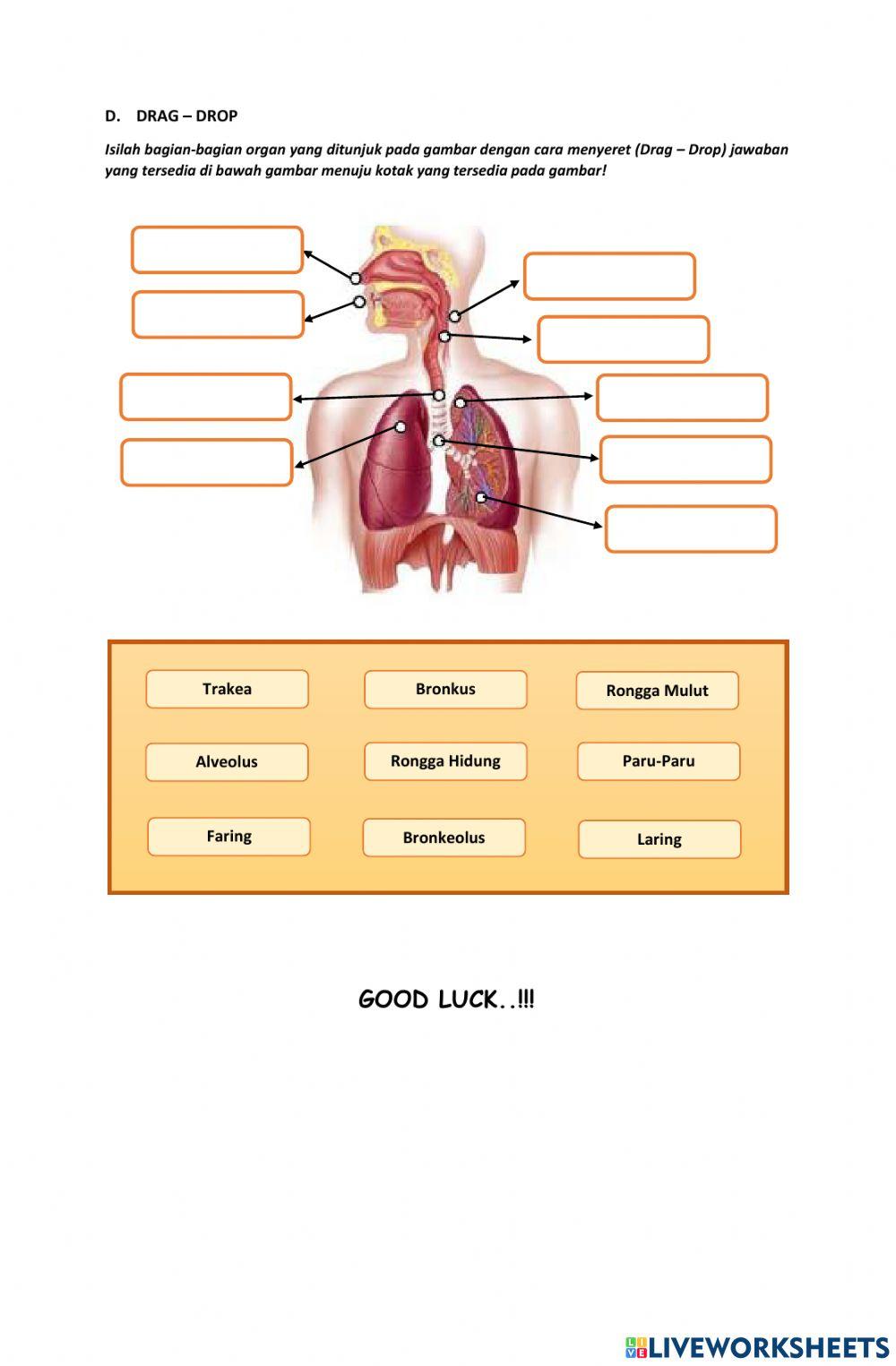Ph 1 tekanan dan sistem pernafasan