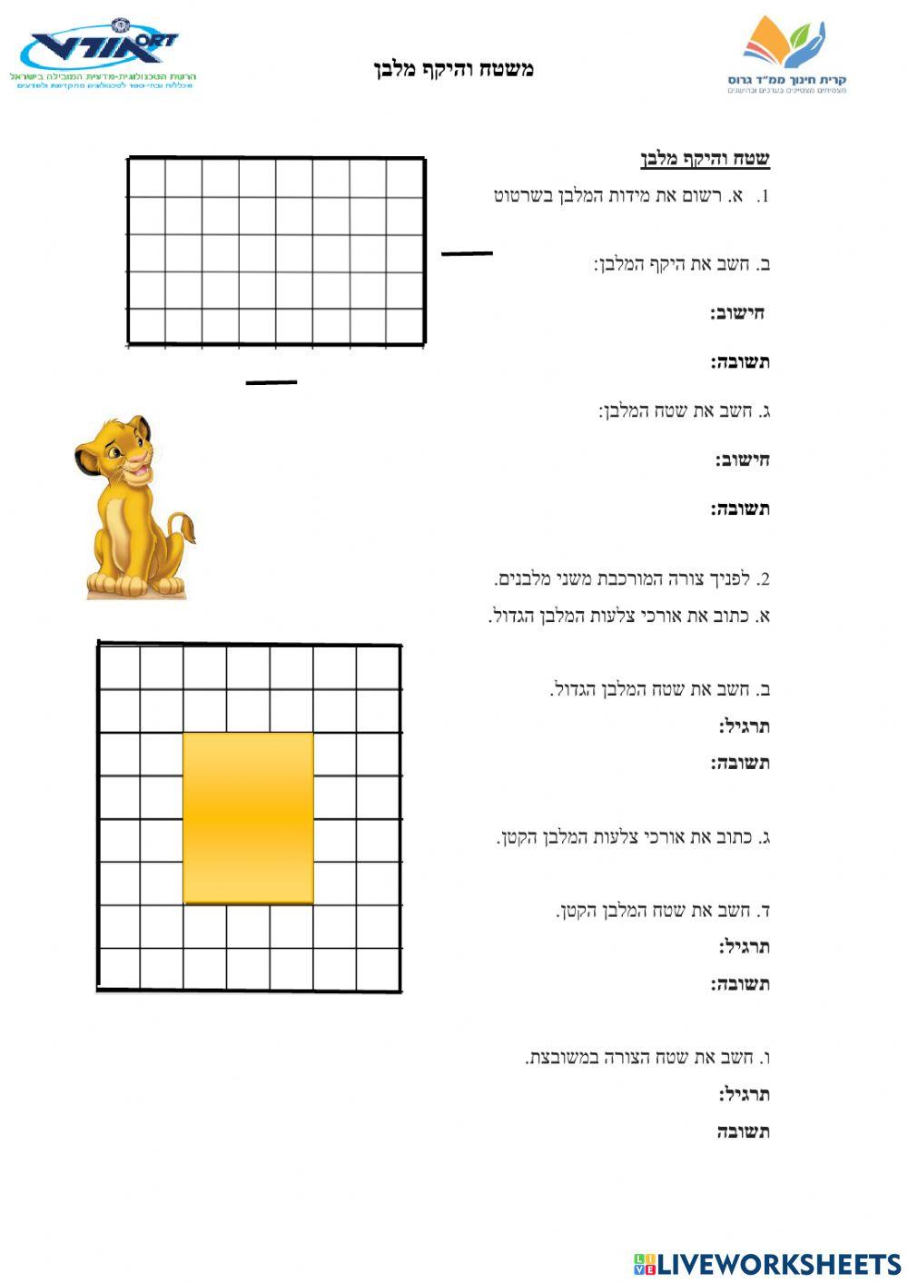 חישוב שטח מלבן