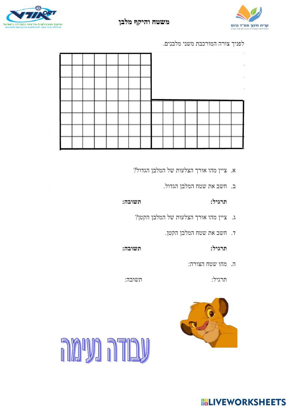 חישוב שטח מלבן