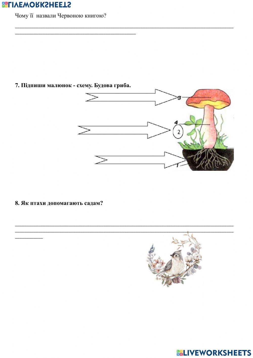 Діагностична робота № 4
