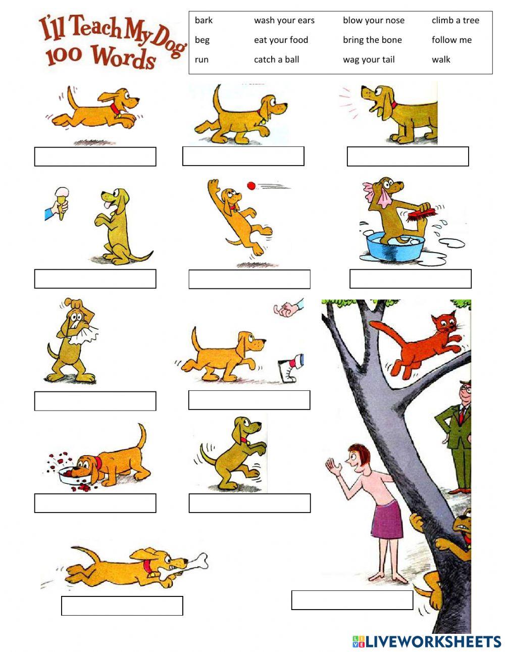 I will teach my dog 100 words