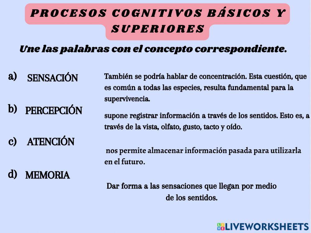 Procesos cognitivos