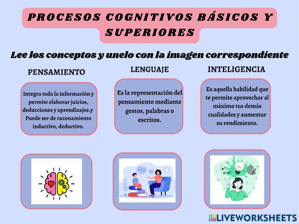 Procesos cognitivos