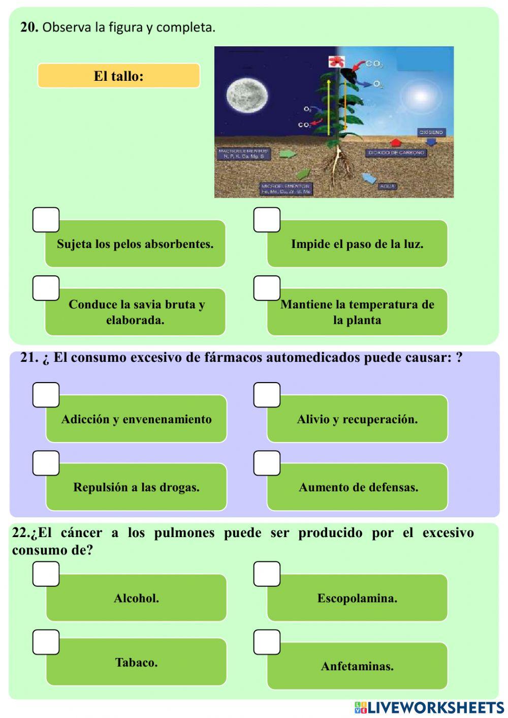 Simulador Ser Estudiante (Ciencias Naturales)